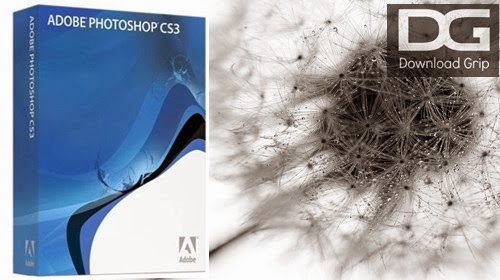 free download photoshop cs3 full version serial number